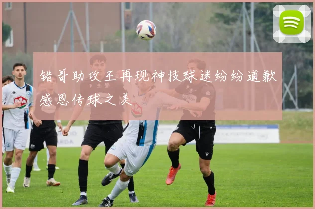 错哥助攻王再现神技球迷纷纷道歉感恩传球之美